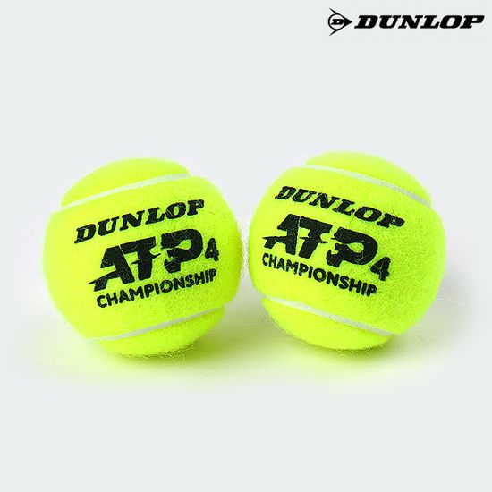 던롭 ATP 챔피언쉽 시합구 테니스공 캔 (2볼)