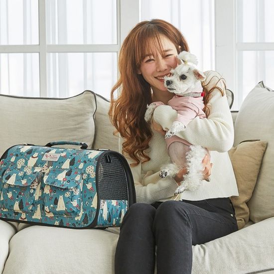 반려동물 강아지 고양이 이동식 가방 Bear Village
