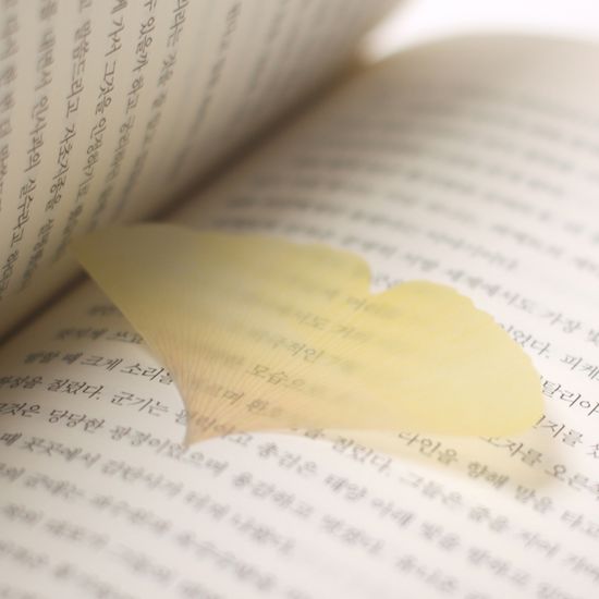 스티키리프_투명은행(Green,S)