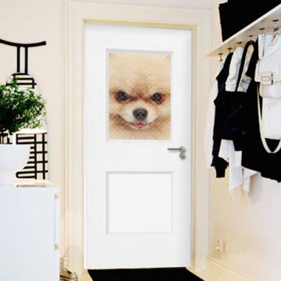 ia759-창문패널강아지07(포메라니안)_현관문시트지