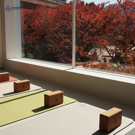 [핫트랙스비밀특가] 가네샤 요가매트 비기너 TPE 8mm