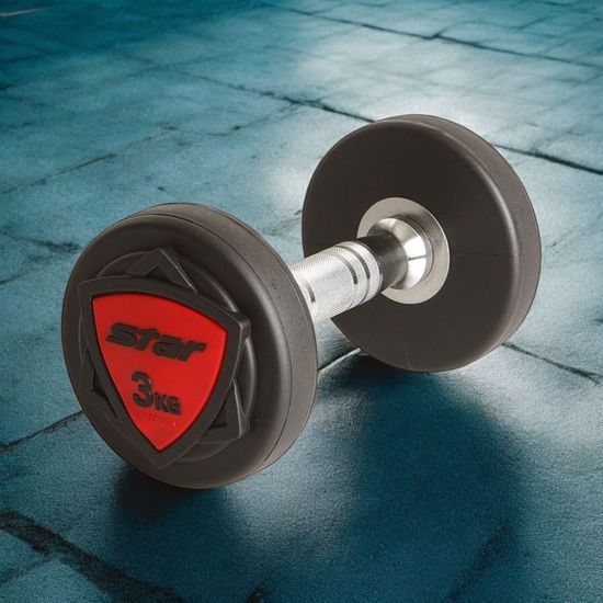 덤벨 스타스포츠 3kg 아령 홈트 팔운동(WFGB0UB)