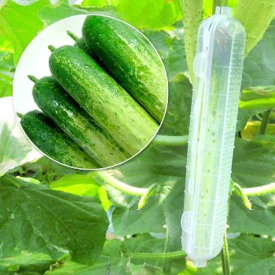 국내생산 육각 성장오이캡  50개 주말놀장 다다기