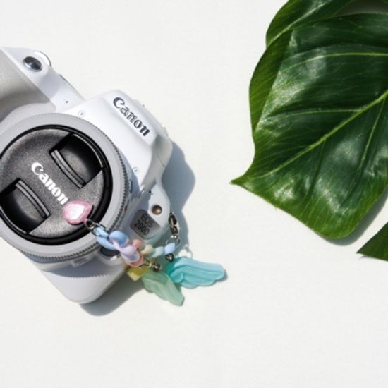 솜사탕 범벅 캡홀더