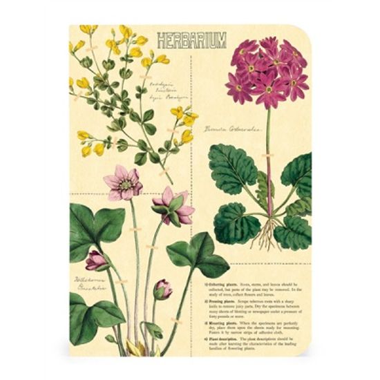 카발리니 미니 노트북 - Herbarium