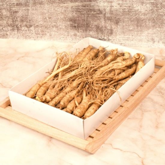 [수홍삼사랑] 4년근 인삼 1채 삼계용삼小 30~50편