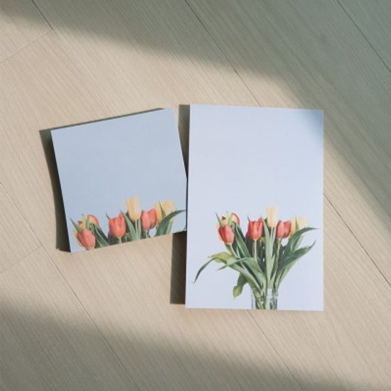 오늘의꽃 엽서 12종 세트