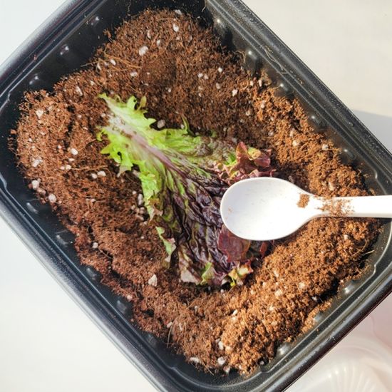 미생물 음식 분해 관찰 키트 지구 환경 보호 DIY KIT