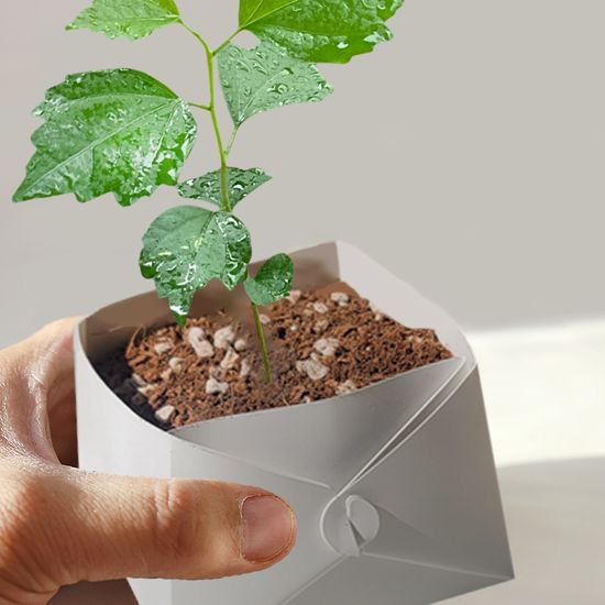 무궁화 키우기 미네랄 화분 풀 패키지 환경 키트 DIY