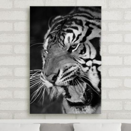 cu537-맹수의흑백카리스마_호랑이_표범_중형노프레임