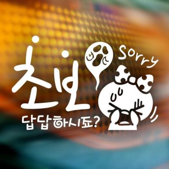 자동차스티커 초보운전스티커 087