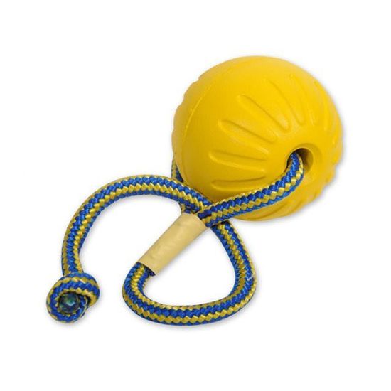 강아지장난감 폼볼 로프 L 1개 (랜덤발송)(W21F122)