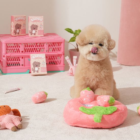 펫생각 하루조이 테피 타먹는 강아지 비타민 영양제 