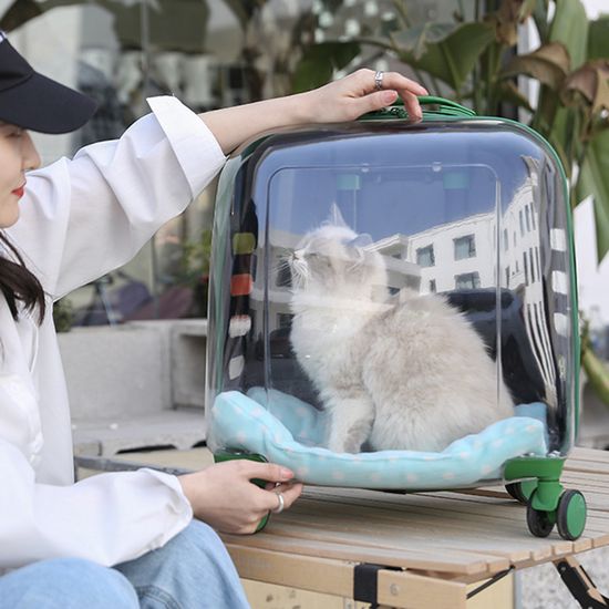 애견용품 마이펫 투명 캐리어 이동가방03