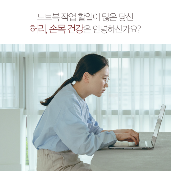 이코노미쿠스 손목보호 노트북 파우치 거치대 가방 