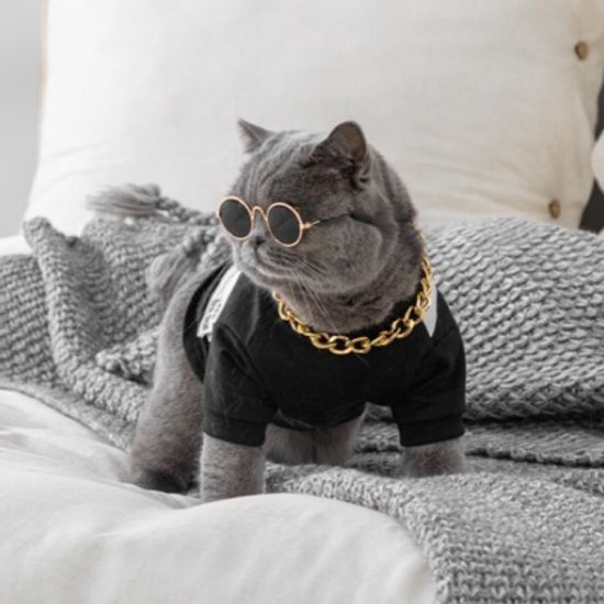 펫데일리 고양이 강아지 선글라스 안경 냥글라스