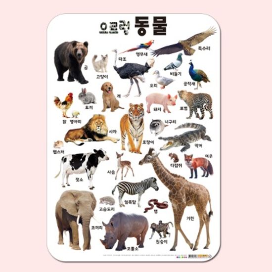 [나우에듀] 학습 포스터 6종세트 (2단계)