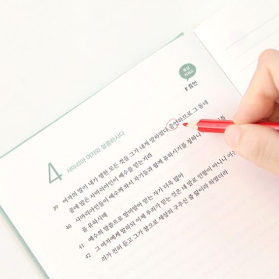 그레이스벨 나날 성경필사 요한복음