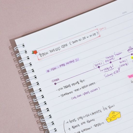 더 스탠다드 심플 스프링 노트 공책 8mm 룰드