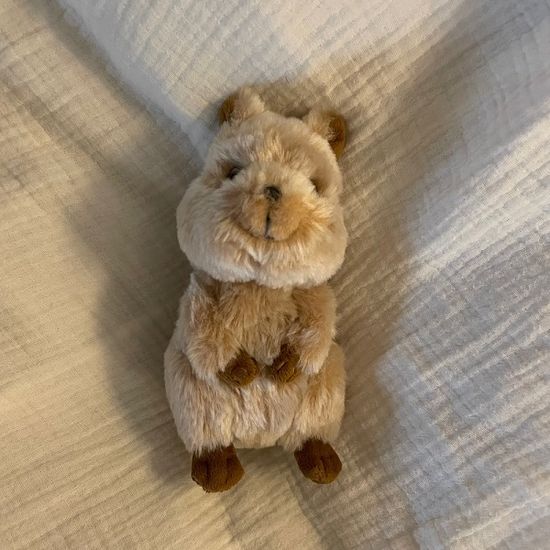 [선레몬] 행복한 쿼카인형