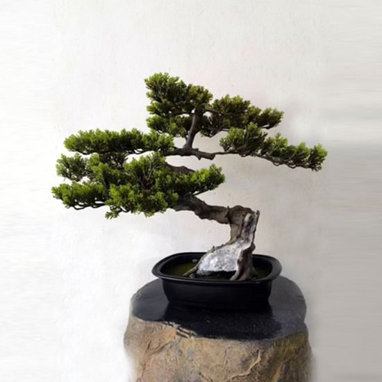인조나무 인테리어 측백나무 조화 6P (50cm)
