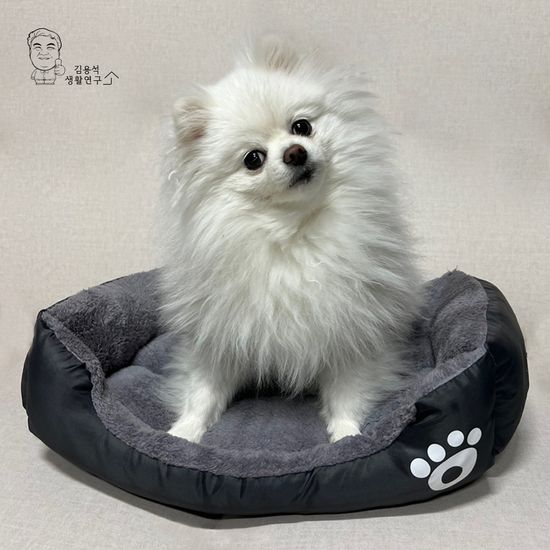 강아지 사각 방석 고양이 쿠션 극세사 애견 반려견 