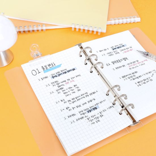 워너디스 A6 6공 점보 리필 5mm 모눈 내지