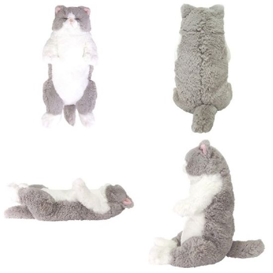 무릎인형★잠자는 쓰야쓰야 고양이