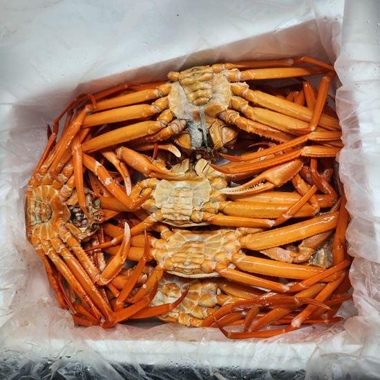 혼술각 치킨보다 싼 자숙 홍게 3kg 7마리 다리만 800g