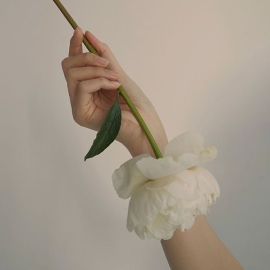 뮬지오 핸드크림 #앤티크 화이트