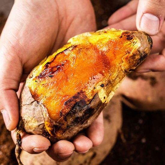 [대한민국농수산] 비세척 해남 꿀 고구마-[비세척] 꿀고구마 (한입) 5kg