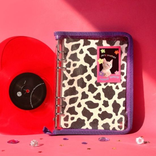 A6 6공 하이틴 포켓 다이어리