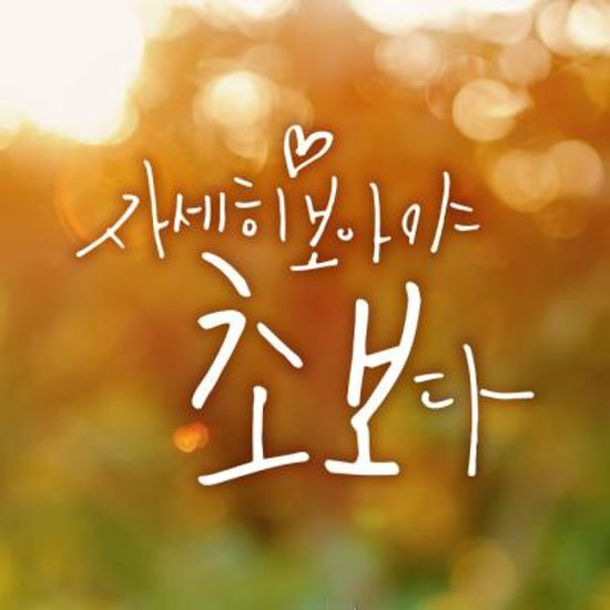 18D89 캘리벨로아B001자세히 화이트