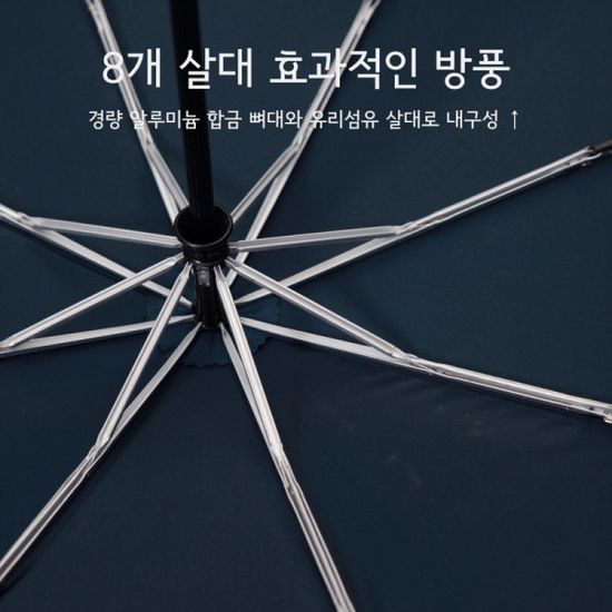 파라체이스 3273 프리미엄 빅사이즈 자동 3단 우산