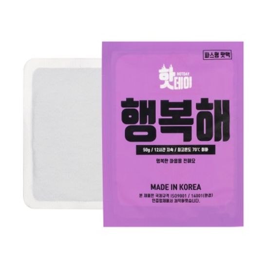 핫데이핫팩 파스형 50g X 20매