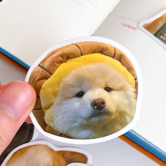 다꾸 폰꾸 리무버블 스티커 세트 No.S46 50장 세트