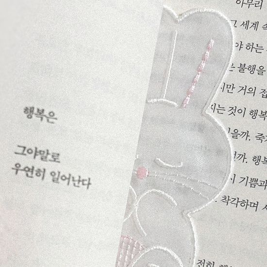 다독가 토끼갈피 토토