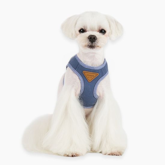 스포티 하네스 세트 (네이비)