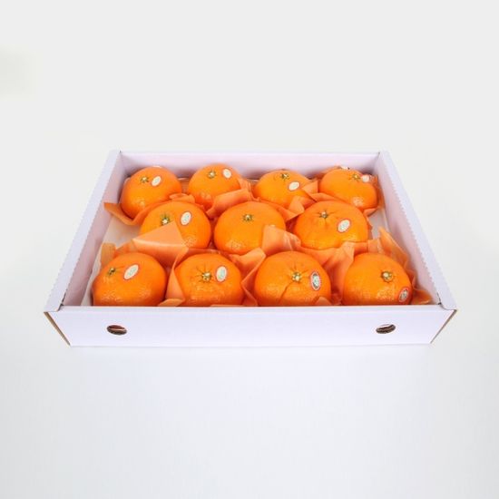 [초록자연] 레드향 5kg(11-13과) 제주 감귤