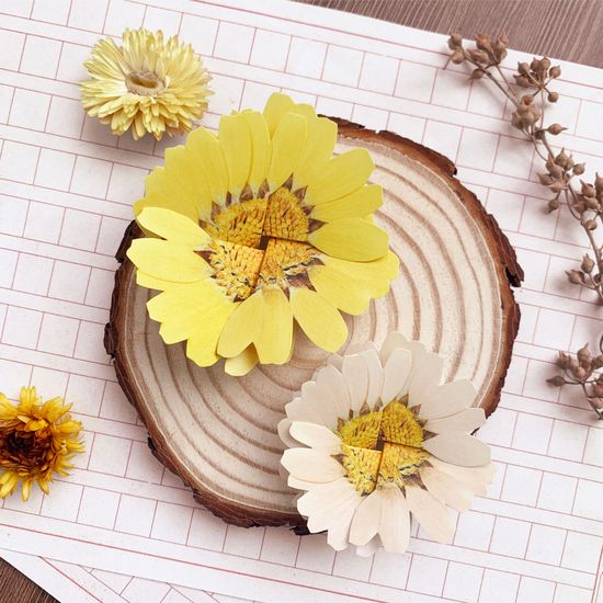 마가렛 편지지 (4colors)