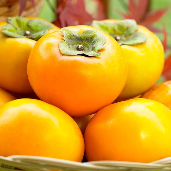 [자연예서] 햇단감 5kg 소(24과 내외)