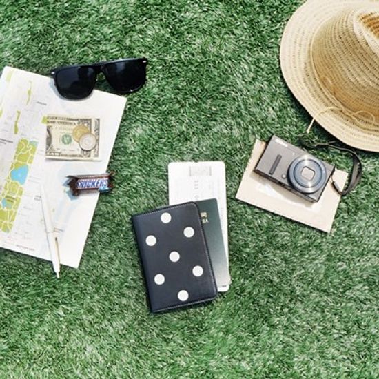 E-PASSPORT SHIELD DOT