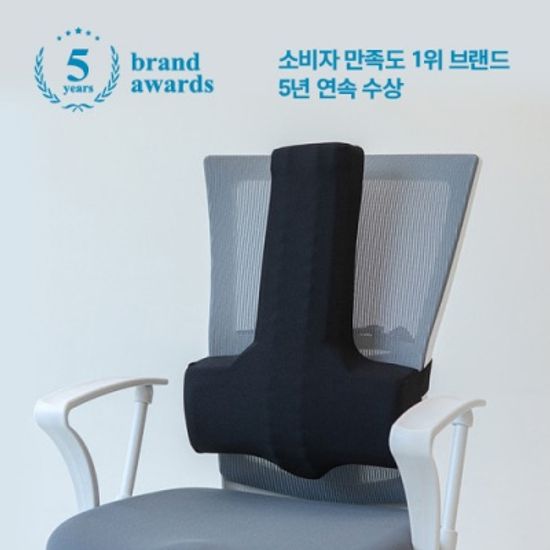 카이로프랙틱쿠션  허리쿠션