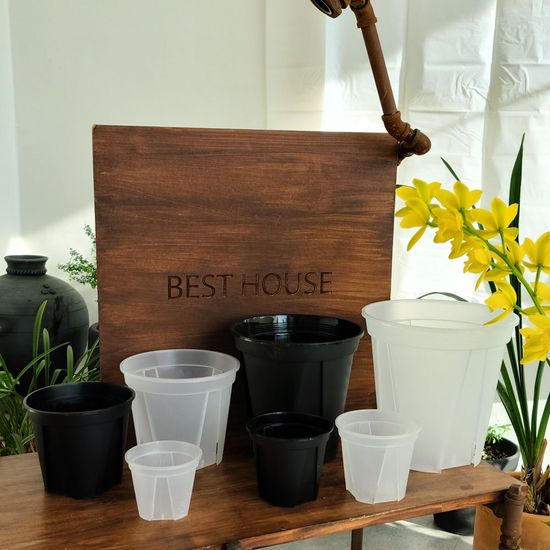 플라스틱 표준형 슬릿 화분 삽목 24cm 투명(WFGD6QD)