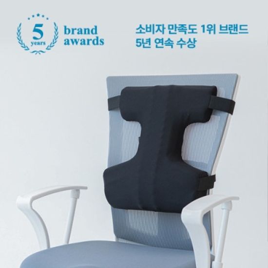 카이로프랙틱쿠션D 차량전용 허리등받이