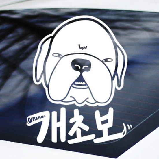 개초보 - 초보운전스티커(NEW065)