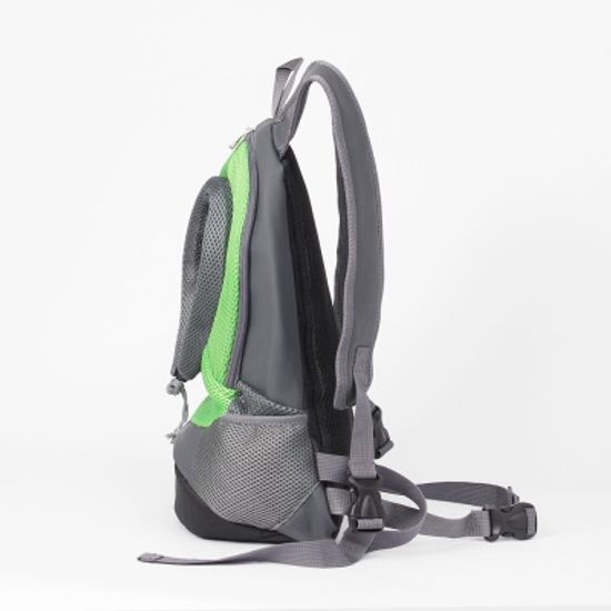 펫라이빙 캥거루 애견 앞가방 고양이 산책 백팩  그린