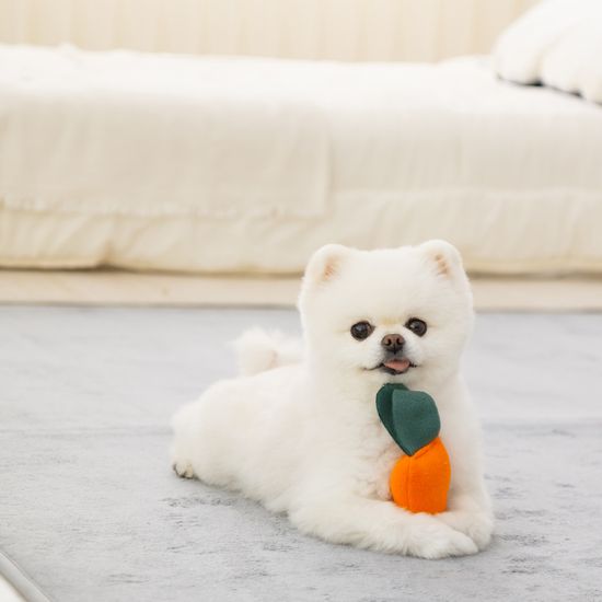 레토 강아지 당근밭 노즈워크 장난감 LDG-NW01