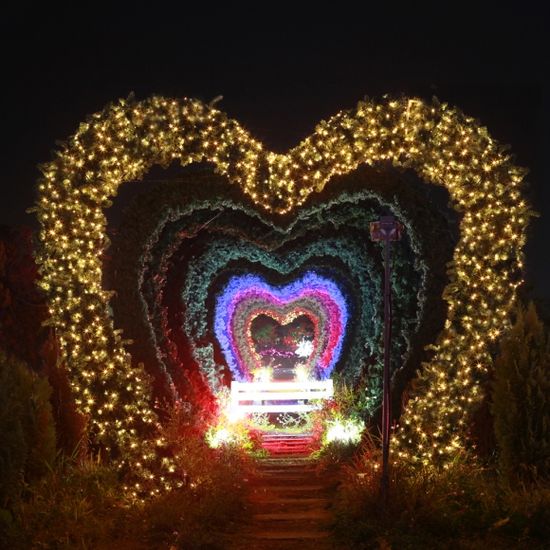 은하수 100구 녹색선 LED 지니전구 점멸 10M (3color)