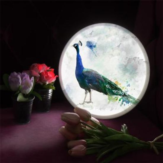 nd292-LED액자25R_우아한공작새_LED사인